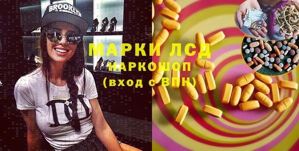 шишки Медногорск