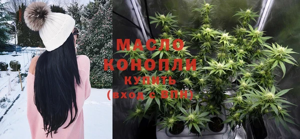 шишки Медногорск