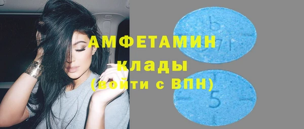 шишки Медногорск