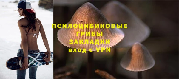 спиды Медвежьегорск