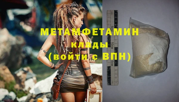 сатива Ахтубинск