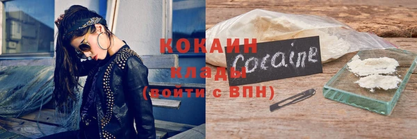 шишки Медногорск