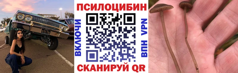 Галлюциногенные грибы Psilocybine cubensis Чусовой