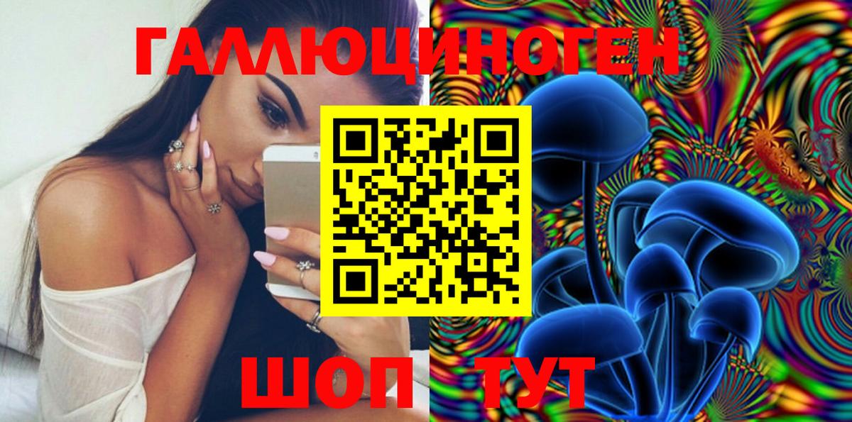 Псилоцибиновые грибы Cubensis Чусовой