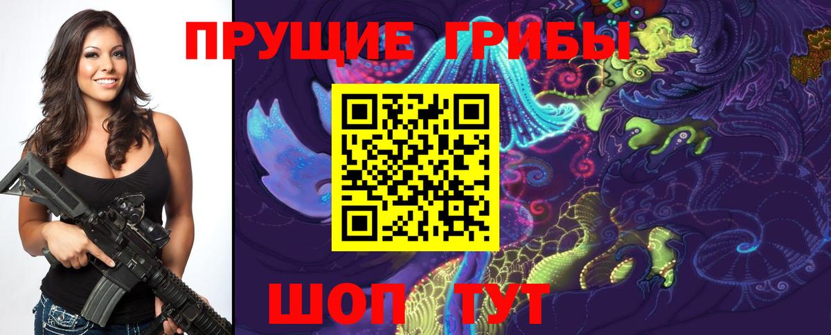 Псилоцибиновые грибы мицелий Чусовой