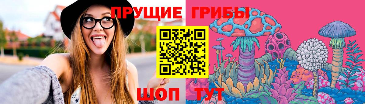Чусовой  Галлюциногенные грибы Cubensis  Вход с VPN  Галлюциногенные грибы Psilocybe 