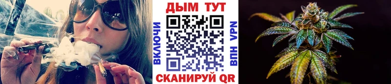 ссылка на мегу tor  Чусовой  Канабис сатива 